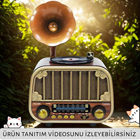 DCX-13 Kahverengi Nostaljik Radyo & Zarif Nostaljik Ahşap Görünümlü Radyo Bluetooth Hoparlör