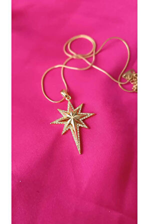 Çelik Kararmaz Altın Kaplama Zirkon Taşlı Kutupyıldızı Kolye
