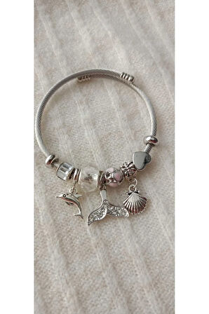 1.Sınıf Çelik  Kararma Yapmaz Charm Bileklik