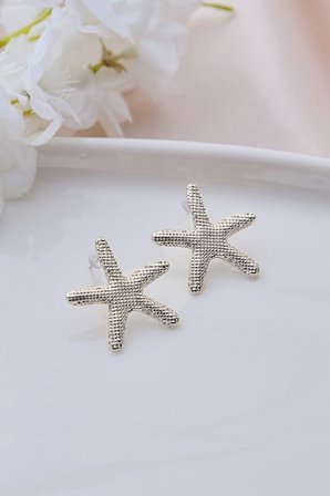 Silver Deniz Yıldızı Çizgili Küpe