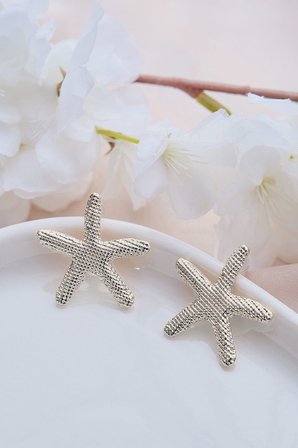 Silver Deniz Yıldızı Çizgili Küpe