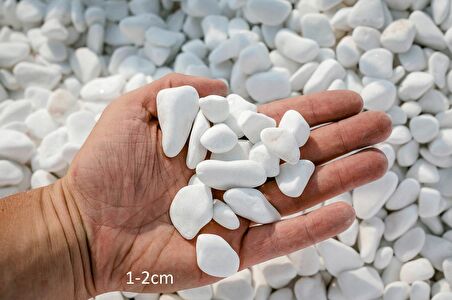 Beyaz Dolomit Taşı 3 Kg 1-2 Cm Dolomit Taş Akvaryum Dekorasyonu Dere Çakılı Mezar Taşı Bahçe Süs Taşı Mezar Süsleme Taşı