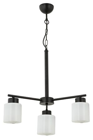 Loreen 3 Lü Modern Yatak Odası Mutfak Salon Avize 
