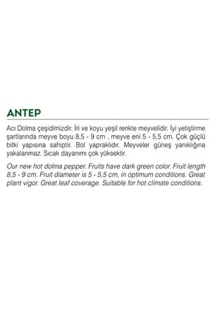 Ata Tohumu Yöresel Dolma Biber Antep 100 Adet Tohum