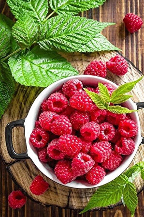 1 Adet Ahududu (Rubus idaeus) Fidanı - Lezzetli ve Besleyici Meyveler, 1-2 Yaş Arası Tüplü