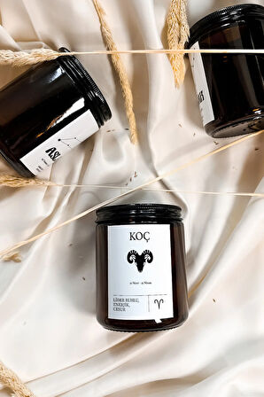 Koç Burcu Tarçın Kokulu %100 Soya Mumu Amber Kavanoz Mum