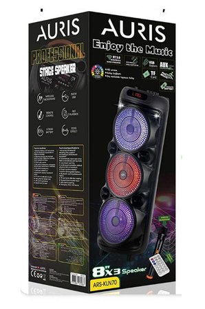 Bluetooth Özellikli Hoparlör 3x8" Karaoke Mikrofon Özellikli Profesyonel Speaker (KLN-70)
