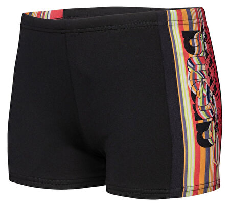 ARENA PALETTE ERKEK ÇOCUK YÜZÜCÜ MAYOSU 008099530