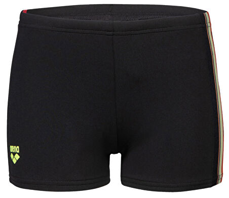 ARENA PALETTE ERKEK ÇOCUK YÜZÜCÜ MAYOSU 008099530