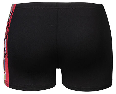 ARENA PALETTE ERKEK ÇOCUK YÜZÜCÜ MAYOSU 008099530