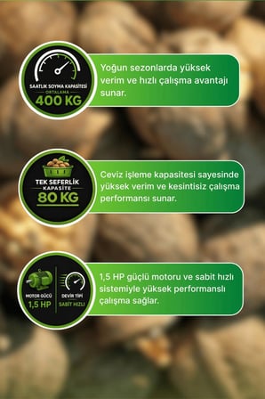 Burkon 190 Litre Rendeli Sabit Devirli Ceviz Soyma Makinesi