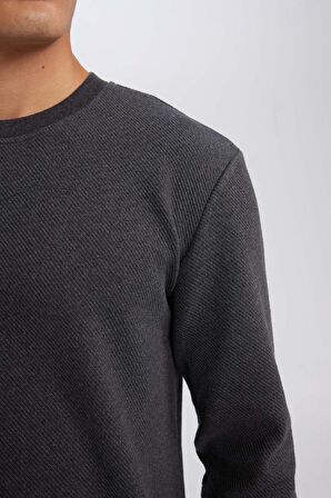 DeFacto Regular Fit Bisiklet Yaka Jakarlı Sweatshirt D5394AX24AUAR84