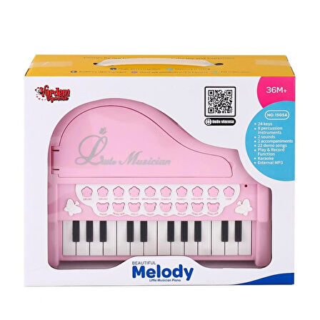 Nessiworld BAO-1505A Mikrofonlu Mini Piano 24 Tuş MP3 Çalar