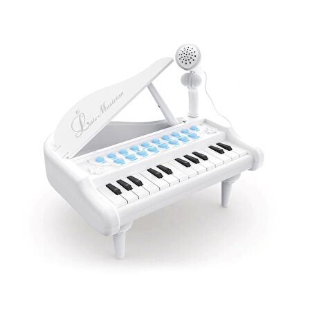 Nessiworld BAO-1505A Mikrofonlu Mini Piano 24 Tuş MP3 Çalar
