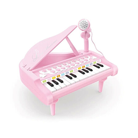Nessiworld BAO-1505A Mikrofonlu Mini Piano 24 Tuş MP3 Çalar
