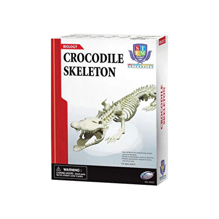 Nessiworld Timsah İskeleti Bilim Seti