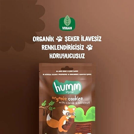 Nessiworld Humm Organik Keçiboynuzlu ve Fındıklı Vegan Kurabiye 55 Gr