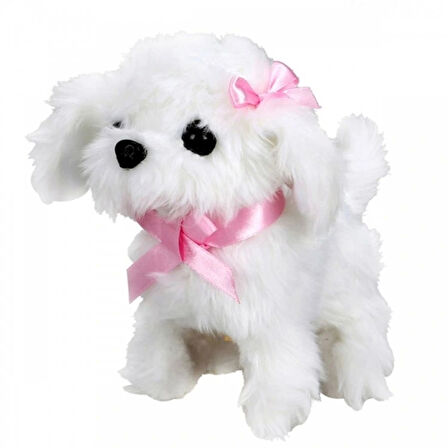 Nessiworld  Sunman Sevimli Köpek Maltese