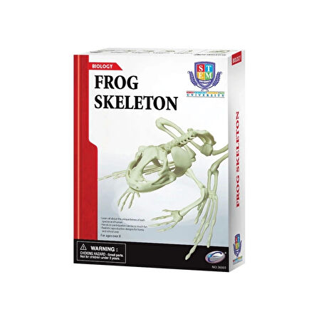 Nessiworld Kurbağa İskeleti Bilim Seti