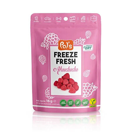 Nessiworld Pol’s Freeze Fresh Dondurularak Kurutulmuş Ahududu 16 g