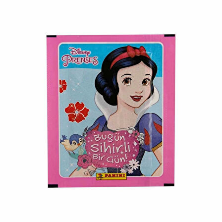 Nessiworld Disney Princess Çıkartma Kartları