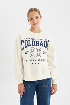 DeFacto Loose Fit Bisiklet Yaka Baskılı Kalın Sweatshirt C7811AX24WNWT32