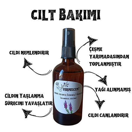  Yabani Lavanta Karabaş Hidrosolü Suyu - Anti Aging Yaşlanma Karşıtı Cilt Nemlendirici 100 ml