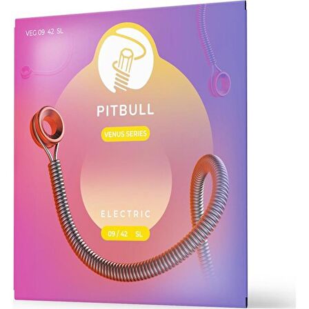 PİTBULL VEG ELEKTRO GİTAR TELİ 09-42