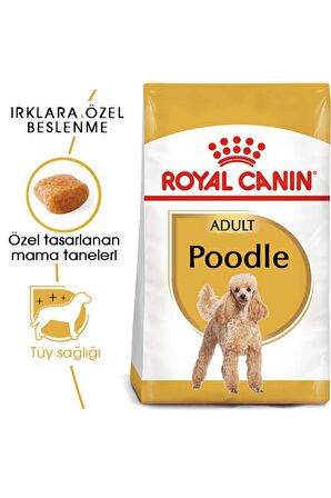 Poodle Adult Köpek Maması 3 kg