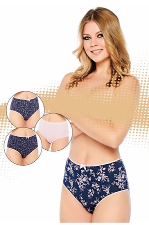 Belinay 3505 Kadın Yüksek Bel Bato Külot 4lü Paket Desenli L