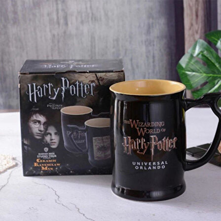 Harry Potter Tasarımlı 600 ml Kupa Bardak