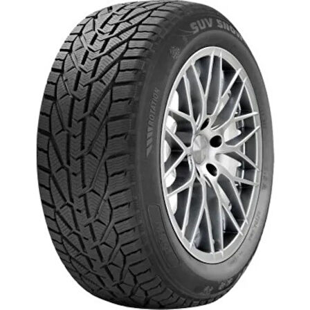 Riken 195/55 R16 87H Snow M+S Oto Kış Lastiği ( Üretim Yılı: 2025 )