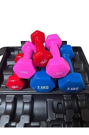 10 Kg Vinly Kaplı Dipping Dumbbell Set Kadınlar İçin Çantalı Dambıl Set 1 kg, 1,5 Kg, 2,5 kg