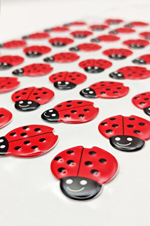 Sticker Kabartmalı A4 boyutunda Stiker Defter, planlayıcı etiket (Lim044) - Uğur Böceği