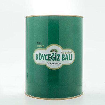 Köyceğiz Balı Çam Balı 4850 G Teneke