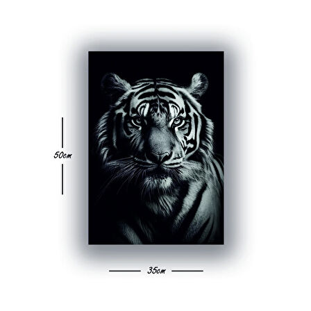 aslan siyah renksiz baskılı kanvas duvar tablosu