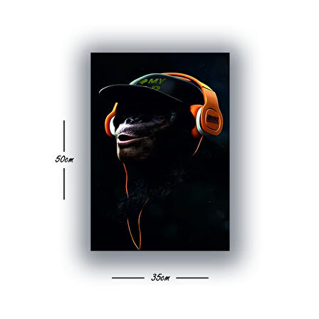 maymun müzik kulaklık baskılı kanvas duvar tablosu