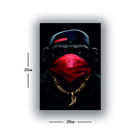 maymun kolyeli baskılı kanvas duvar tablosu