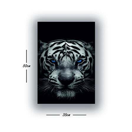 Mavi gözlü kaplan baskılı kanvas duvar tablosu