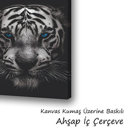 Mavi gözlü kaplan baskılı kanvas duvar tablosu