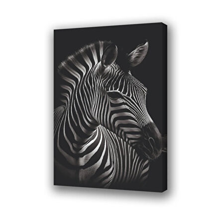 zebra siyah arka planlı baskılı kanvas duvar tablosu