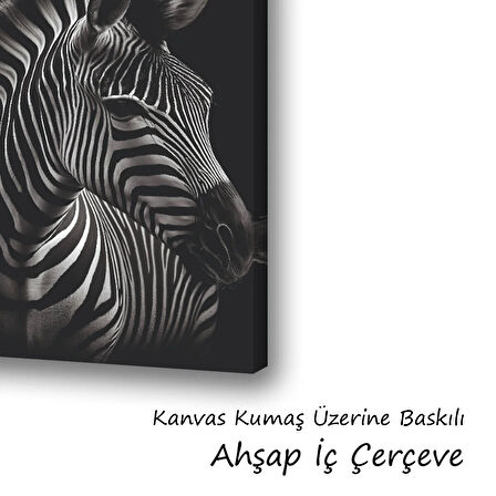 zebra siyah arka planlı baskılı kanvas duvar tablosu