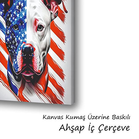 amerikan bulldog baskılı kanvas duvar tablosu