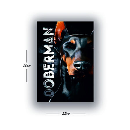 döberman köpek baskılı kanvas duvar tablosu