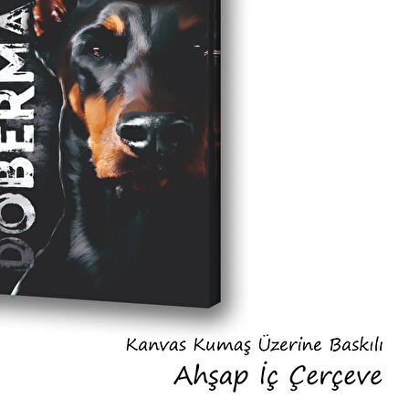 döberman köpek baskılı kanvas duvar tablosu