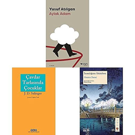aylak adam + cavdar tarlasinda cocuklar + insanligimi yitirirken = 3 set