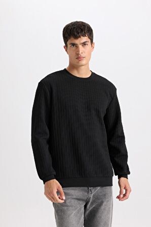 DeFacto Regular Fit Bisiklet Yaka Jakarlı Basic Düz Sweatshirt D5391AX24AUBK27