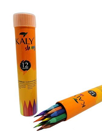 Kaly 12'Li Metal Tüp Kuru Boya