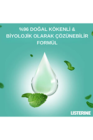 LISTERINE Naturals Emaye Koruma Hafif Lezzet Nane (Alkol veya Boya Yok, Vegan ) 500ml