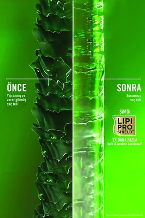 Biberiye & Nane Arındırıcı Sülfatsız Saç Bakım Kremi 385 ml